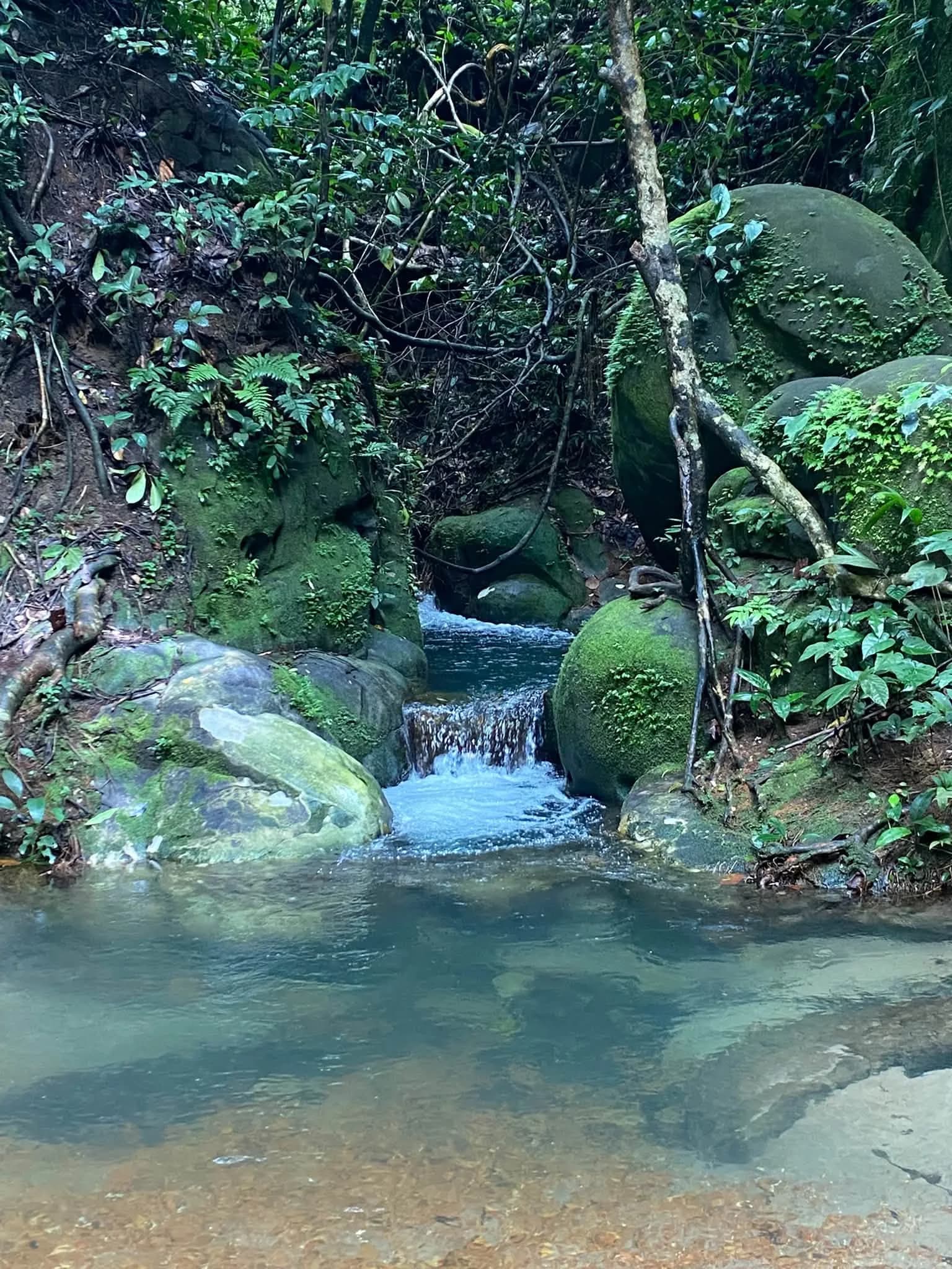 Le ruisseau entre les rochers moussus, près des grottes