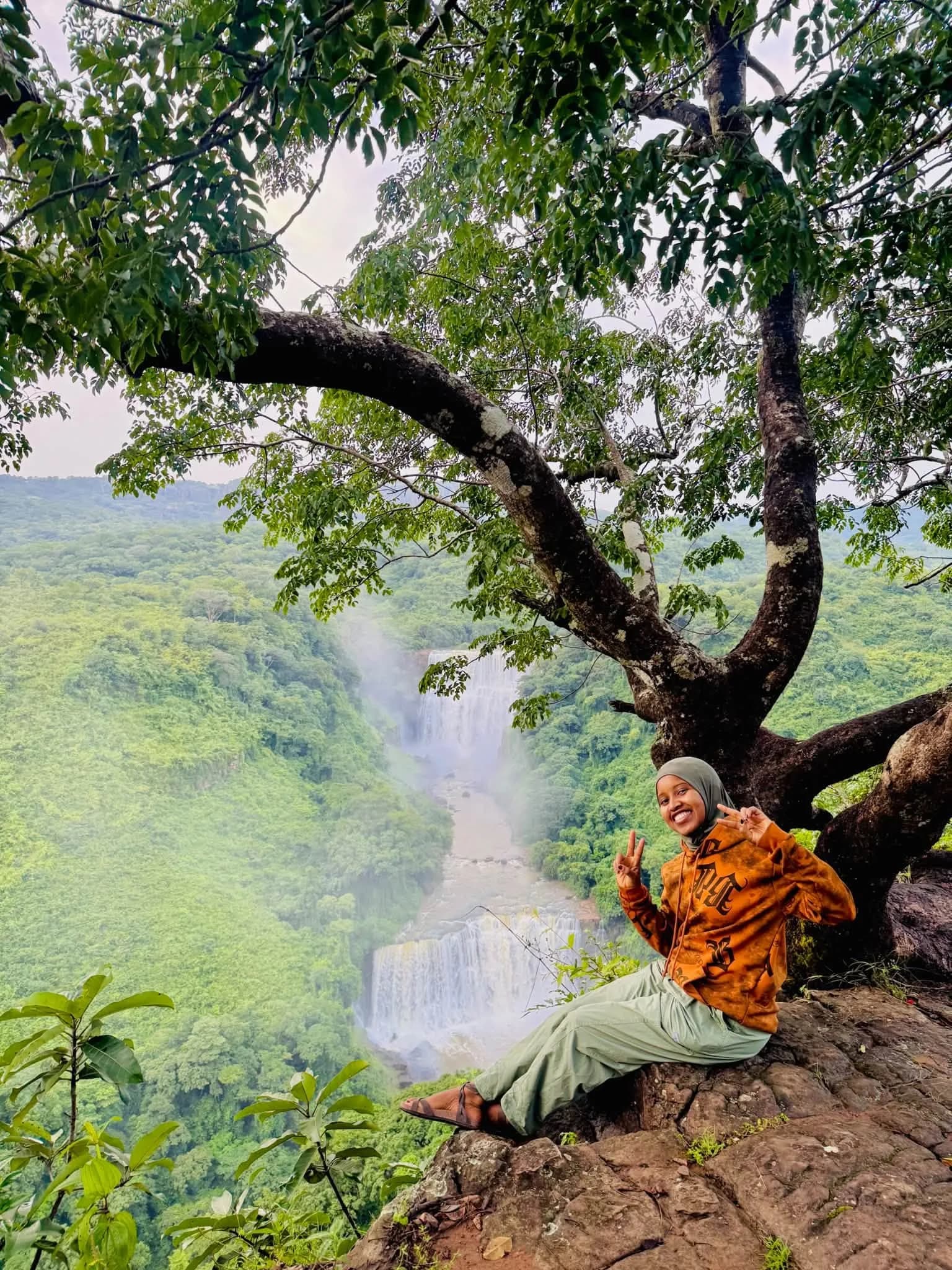 Sous les branches, la vallée et la chute